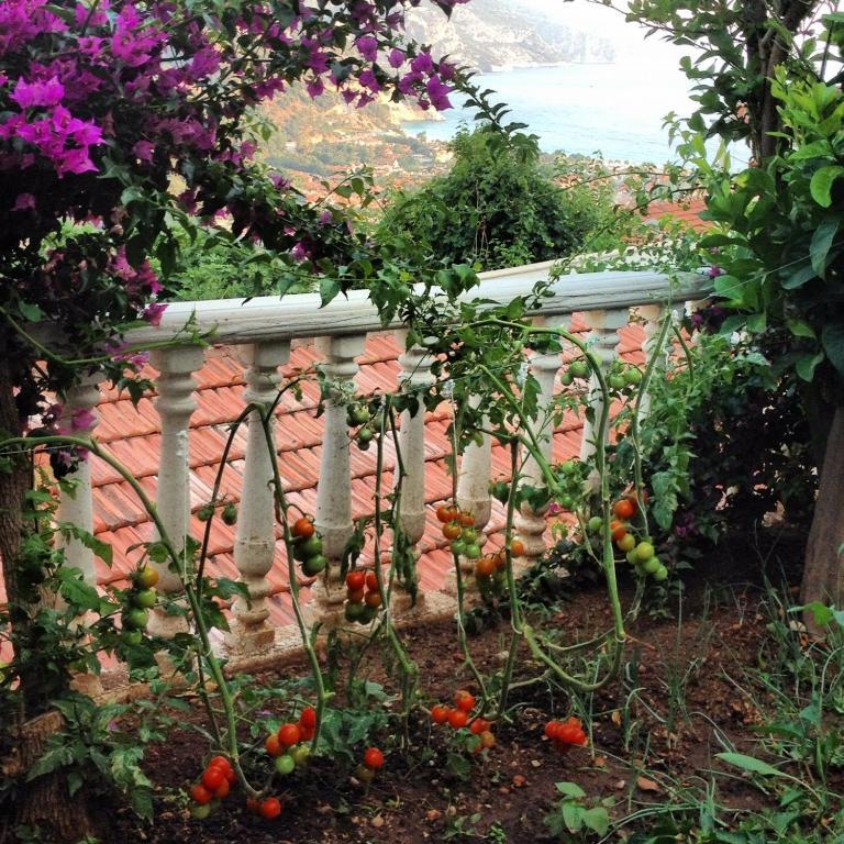 Aygul Hotel Ölüdeniz Buitenkant foto